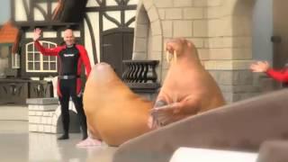 MarineLand TV Commercial 2013 - French