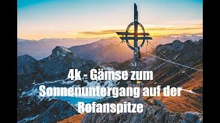 4K - Gämse zum Sonnenuntergang auf der Rofanspitze