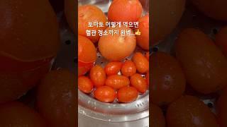 아침에 토마토주스 챙겨 먹어요건강부터 다이어트까지~