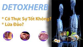 Detox Herb Có Thực Sự Tốt Không? Tất Cả Sẽ Có Trong Video Này