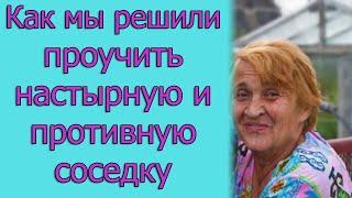 Как мы решили проучить настырную и противную соседку. Истории из жизни