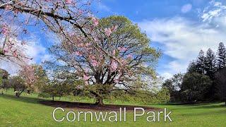 Cornwall Park 4K UHD music video / Amazing music / Auckland 4K / Beautiful New Zealand Scenery