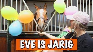 HET IS FEEST! EVE IS JARIG   | PaardenpraatTV