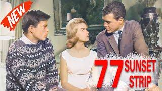 77 Sunset Strip Full Episodes 2024  Private Detective Drama Series  Most Popular American Tv Show