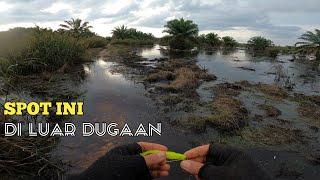 Spot Ini Diluar Dugaan | 6 Februari 2024