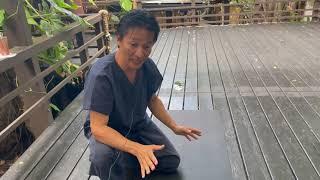 Jujube Hawaii Clinic's Dr. Cimone Kamei on "Earthing Jugah Mat"