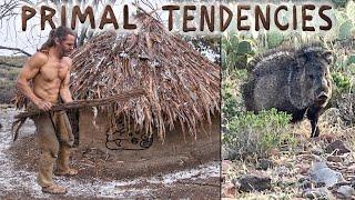 Preparing the Hut for Rain and Javelina Encounter (episode 38)