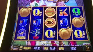 Dragon Link Slot Machine ️| Peace And Long Life Casino Session 