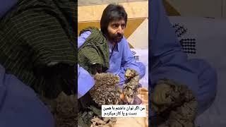 #afghanistan #funny