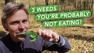 3 Weeds You're Probably Not Eating