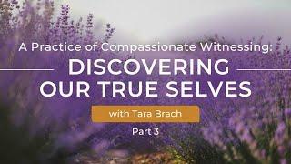 A Practice of Compassionate Witnessing | Part 3 Discovering Our True Selves with Tara Brach