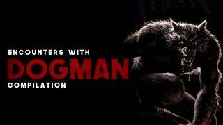 DOGMAN ENCOUNTERS COMPILATION - 2+ Hours Of Dogman Encounters -  What Lurks Beneath