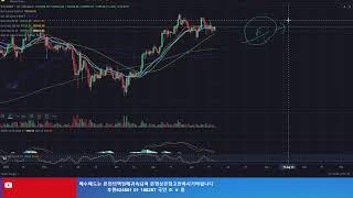 스테이블코인 열풍!! 스테이블코인 발행사 늘어난다!! 코인가격의  폭풍속 고요!!