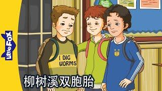 柳树溪双胞胎 31～32｜The Willow Creek Twins｜中文动画｜Chinese Stories for Kids | Little Fox Chinese