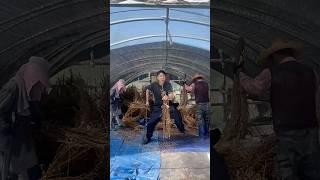 장인어른 저 말리지마세요 신났으니깐 #유머 #개그 #코미디