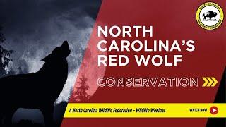 Conserving North Carolina's Red Wolf - North Carolina Wildlife Federation