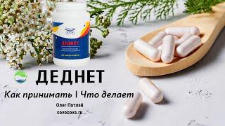 Деднет | Как принимать | Что делает | Компания Сово Сова