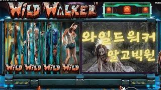 [슬롯머신] [규칙] 와일드 워커 Wild Walker 잭팟 방법 대리체험 프라그마틱 자막안내