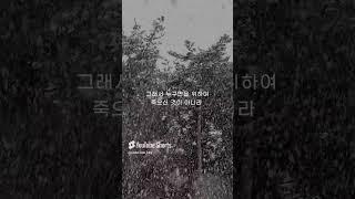 성문침례교회 성문기독학교 하바예 | 조건 | 최사무엘 목사