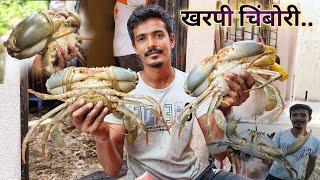 जालात भेटले मोठे मोठे खरपी चिंबोरे  |  गोण भरुन खरपी मुठे | Mud Crab Catching