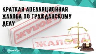 Краткая апелляционная жалоба по гражданскому делу