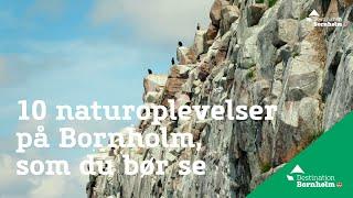 10 naturoplevelser på Bornholm, som du bør se