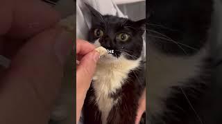 A Miraculous Ending