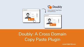 Doubly: A Cross Domain Copy Paste Pluign