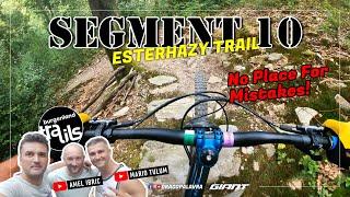 SEGMENT 10 | ESTERHAZY TRAIL | Drago Palavra