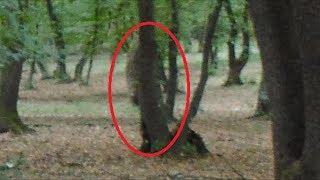 Hoia-Baciu | The World's Most Haunted Forest Documentary