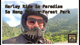 Riding Through Paradise – Harley-Davidson 48 Adventure in Sa Nang Manora Forest Park, Thailand ️