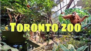 [4K]  TORONTO ZOO Walkthrough Tour Ontario, Canada