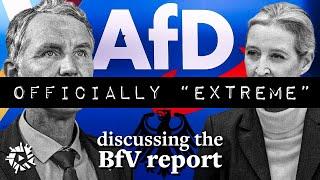 AfD "extremist" report and ban debate: interview with Correctiv journalist Marie Bröckling