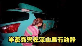 半夜露营在深山里，突然感觉外面有什么动静出来，一看坏了