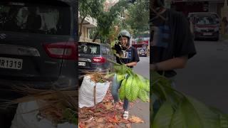 Rescued, Repotted and ready to thrive. Meet my rescued Dumb cane🪴  #ytshorts #gardening #plants