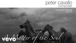 Peter Cavallo - A Matter of the Soul (Official Music Video)