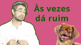 5 DESVANTAGENS de ser Médico Veterinário | Dica Veterinária #12