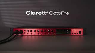 Clarett+ OctoPre - Introduction // Focusrite