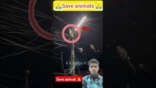 Save animals //#animals #save #saveanimals #trendingvideo #great