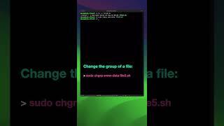 Linux commands for beginners part 22 | Change file and folder group ownership #shorts