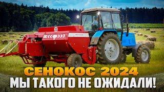  СЕНОКОС 2024 | МАЙСКИЕ МОРОЗЫ ДАЛИ О СЕБЕ ЗНАТЬ?