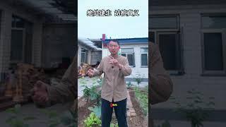 【史楍酼】绝处逢生 站桩真义 #养生 #站樁