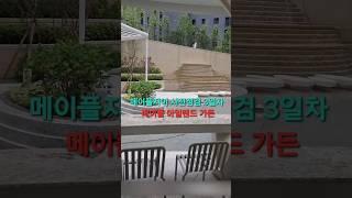 #신반포메이플자이#아일랜드가든#예쁜정원#메이플자이 #사전점검 #아파트언박싱 #힐링단지