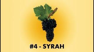 Cépage Sorcier #4 : La Syrah