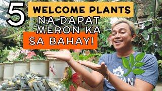 5 WELCOME PLANTS THAT YOU SHOULD HAVE IN YOUR HOME | FOR GOOD LUCK & WEALTH