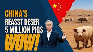 CHINA Transforms DESERT into THRIVING FARMLAND with 5 MILLION PIGS! 