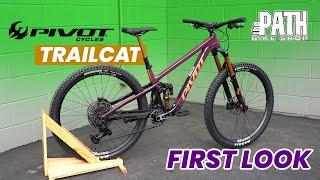 Pivot Trailcat - First Look