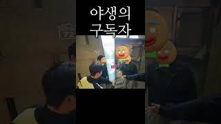 야생의 구독자