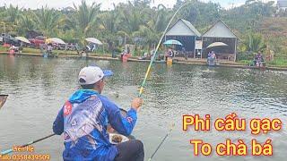 Fishing | Câu Đài | Tập 287 | Câu Game Hồ Gió Đồng, Phi Bự Quá | Nghiện Câu TV