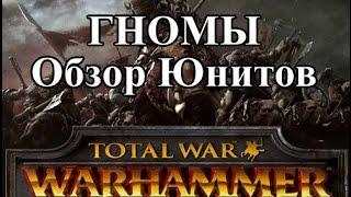 Total War: Warhammer - Гномы Обзор Юнитов